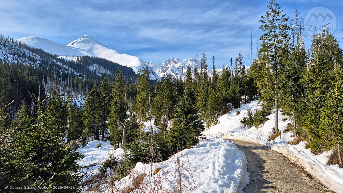 ZoL.pl - W Dolinie Suchej Wody 2026-04-12