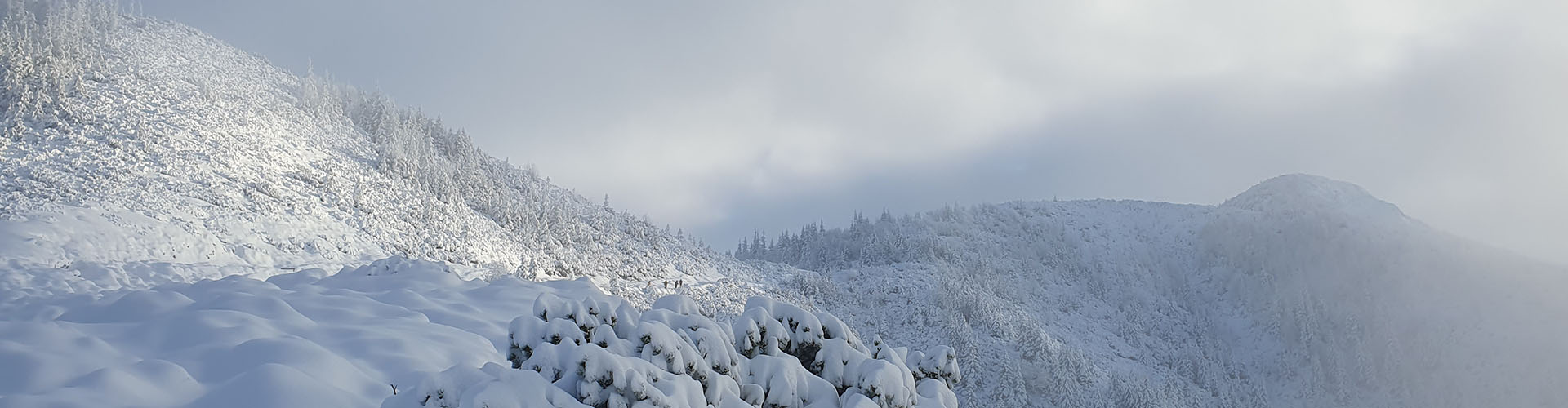 Zakopane Tatry i Okolice