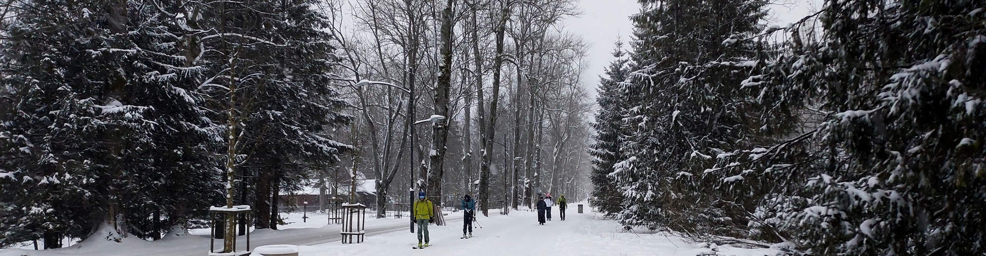 Zakopane Tatry i Okolice