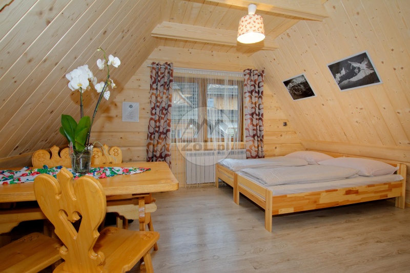 Suche